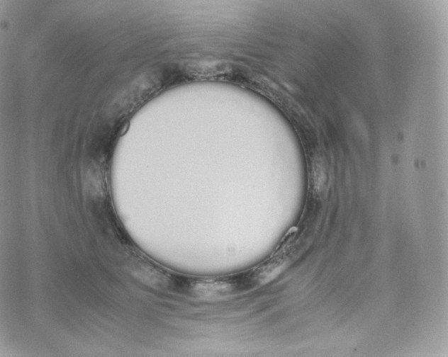 X0000070380515200606301925