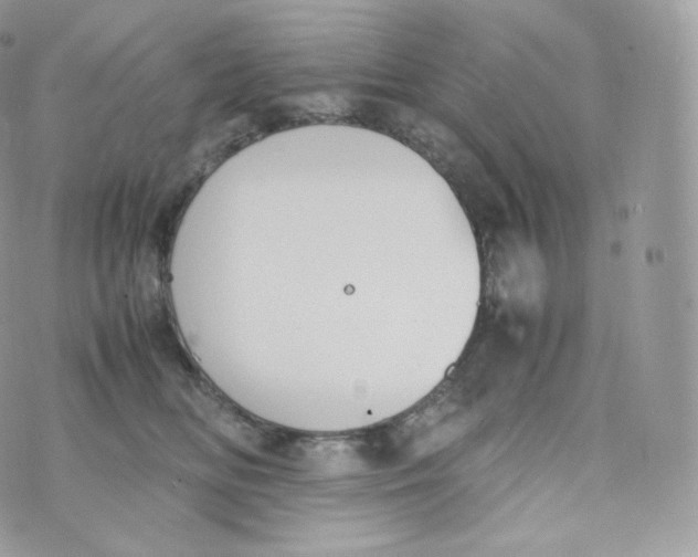 X0000070380518200606301924