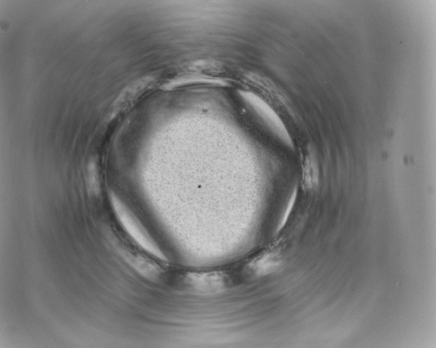 X0000070380520200606301924