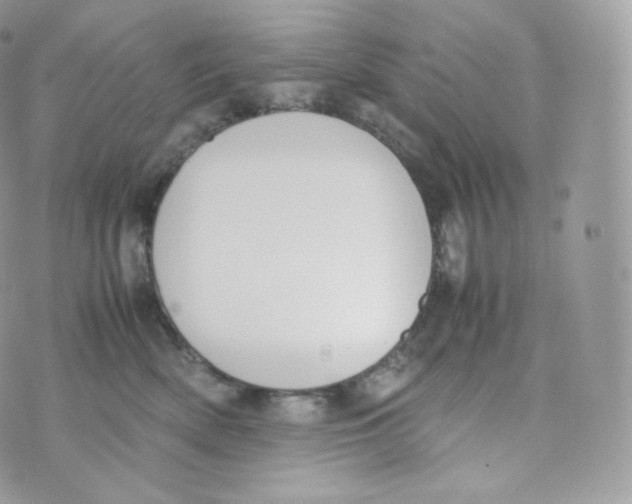 X0000070380522200606301924