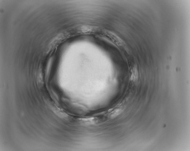 X0000070380524200606301924