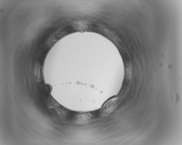 X0000070380525200606301924