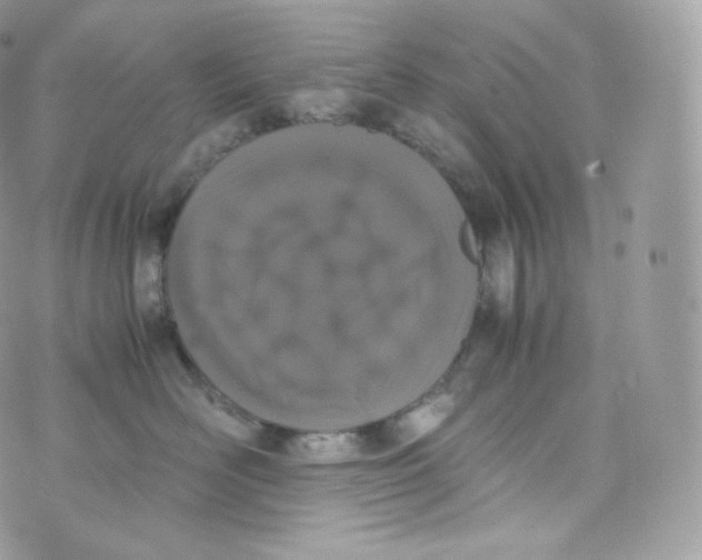 X0000070380526200606301924