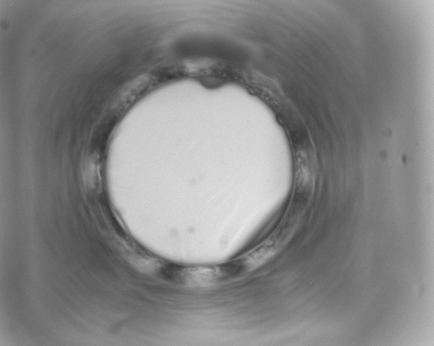 X0000070380527200606301924