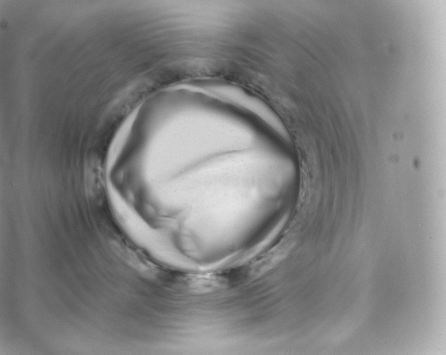 X0000070380528200606301924