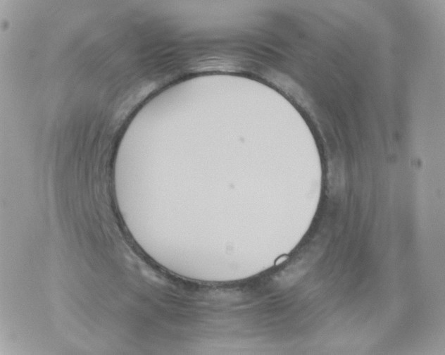 X0000070380529200606301924