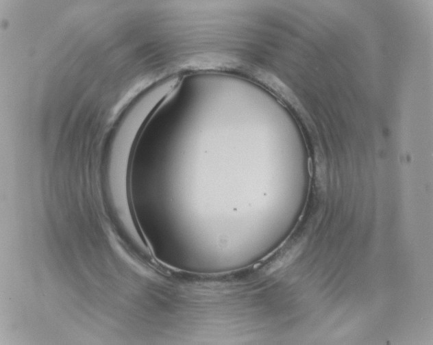 X0000070380530200606301924