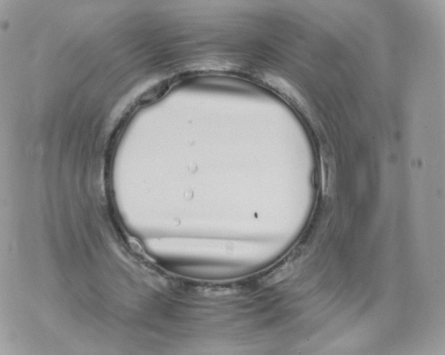 X0000070380531200606301924