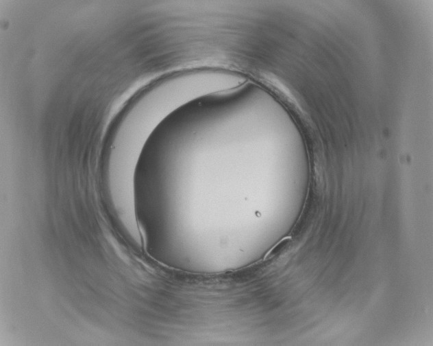 X0000070380532200606301924