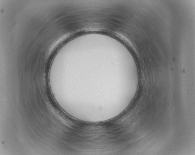 X0000070380535200606301924