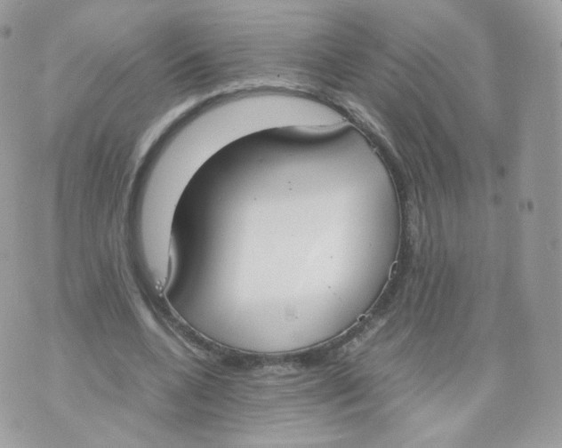 X0000070380536200606301924