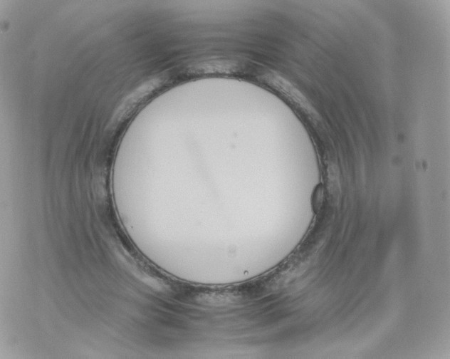 X0000070380537200606301924