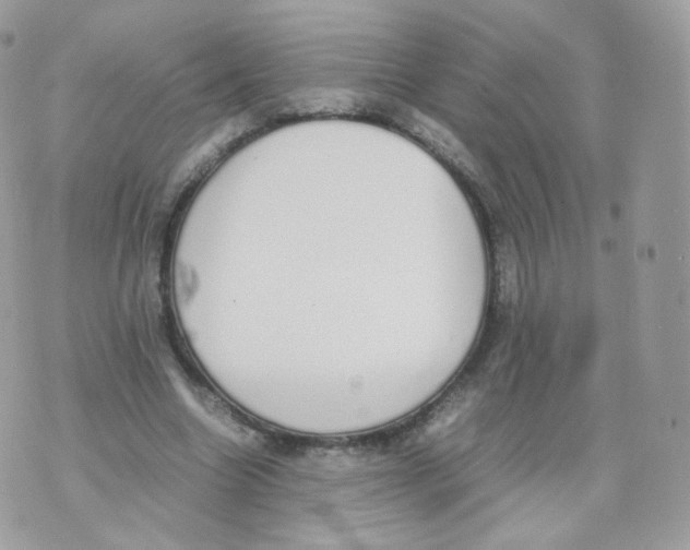 X0000070380538200606301924