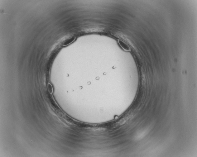 X0000070380539200606301924