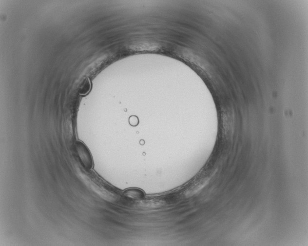 X0000070380541200606301924