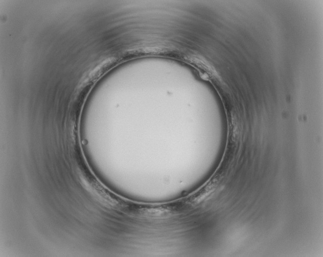 X0000070380542200606301924