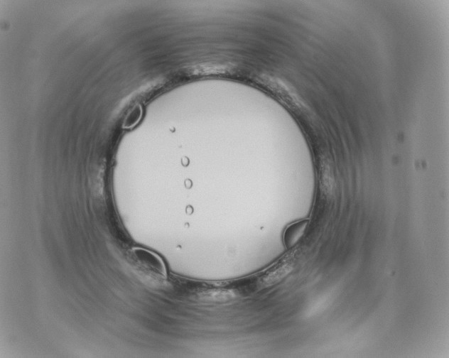 X0000070380543200606301924