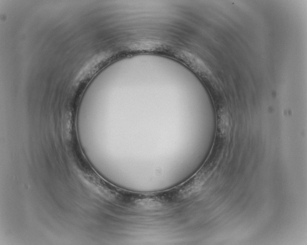 X0000070380544200606301924