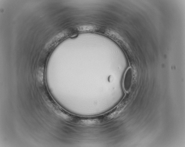 X0000070380545200606301924