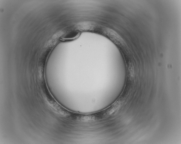 X0000070380546200606301924