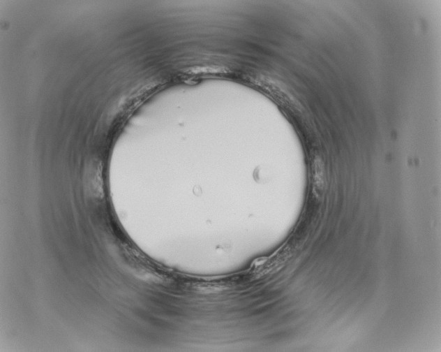 X0000070380547200606301924