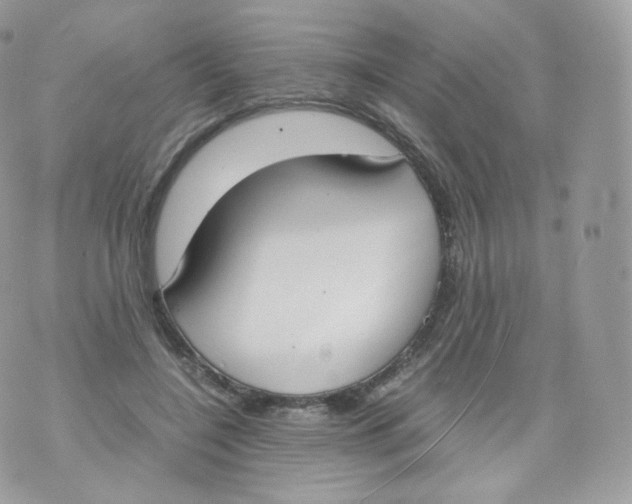 X0000070380548200606301924