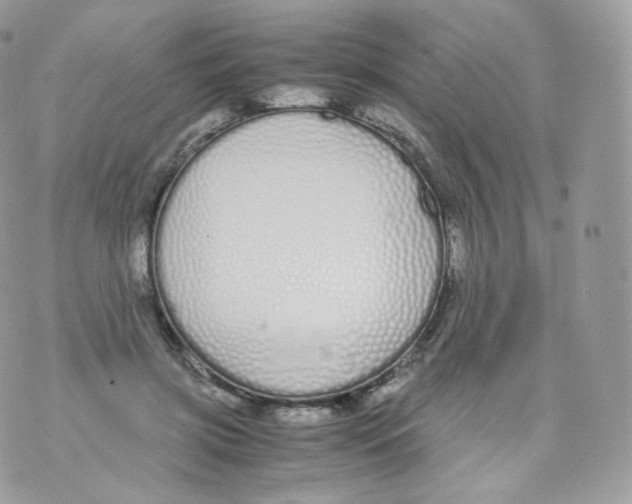 X0000070380549200606301924