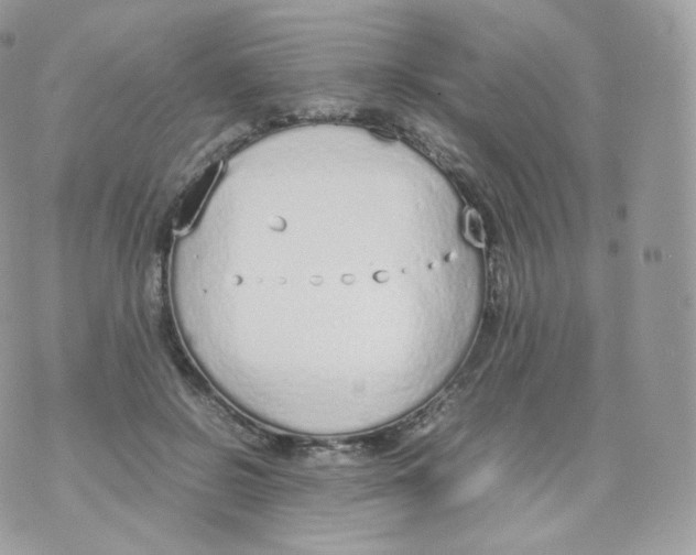 X0000070380550200606301924