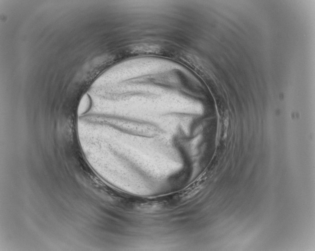 X0000070380551200606301924