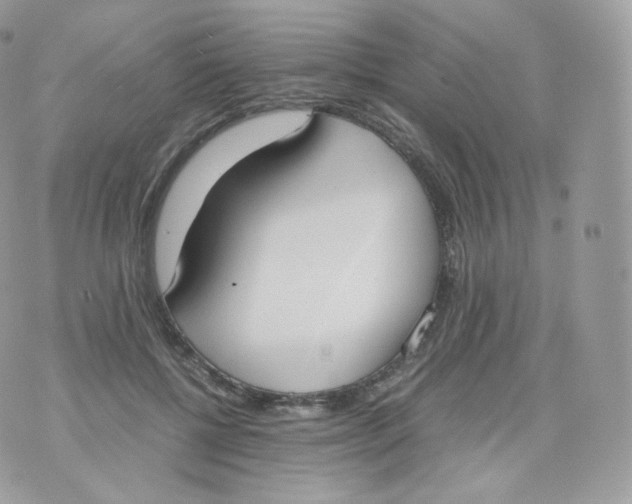 X0000070380552200606301924