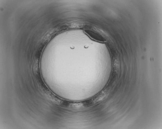 X0000070380554200606301924