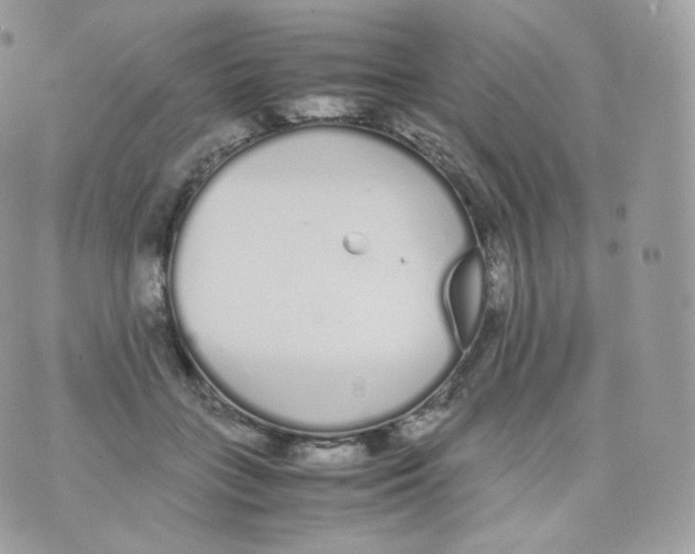 X0000070380555200606301924