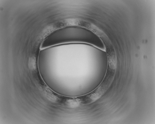 X0000070380556200606301924