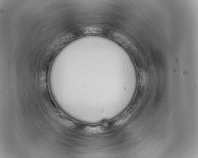 X0000070380557200606301924