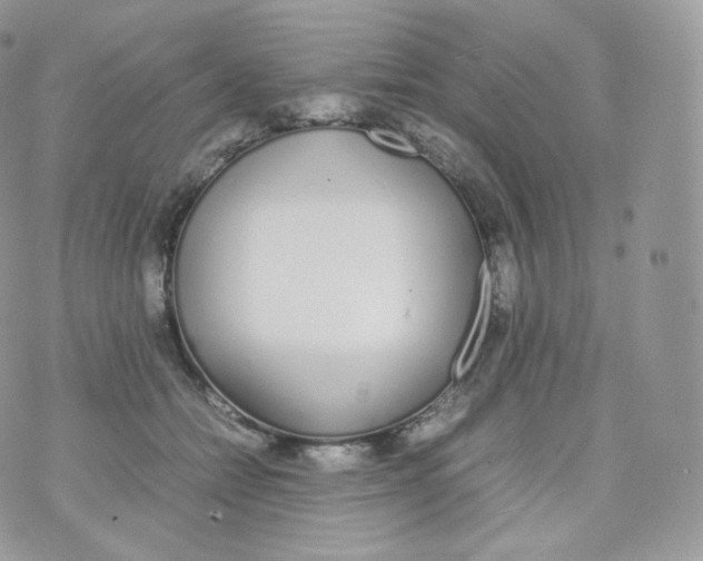 X0000070380558200606301924