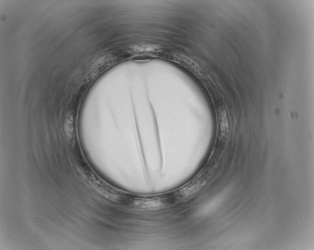 X0000070380559200606301924