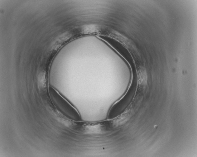 X0000070380560200606301924