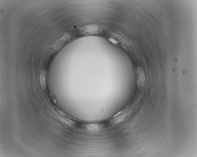 X0000070380562200606301924