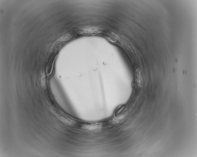 X0000070380563200606301924