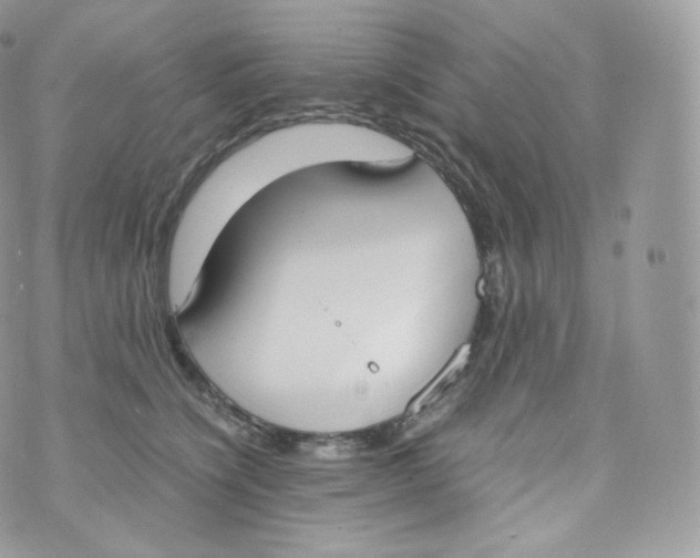 X0000070380564200606301924