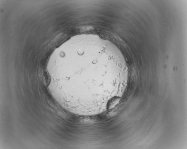 X0000070380565200606301924