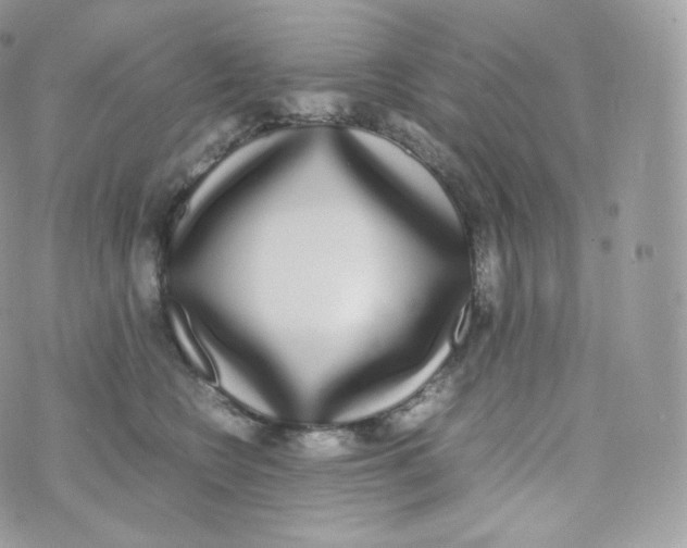 X0000070380566200606301924