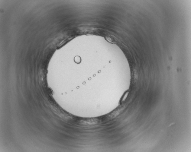 X0000070380567200606301924