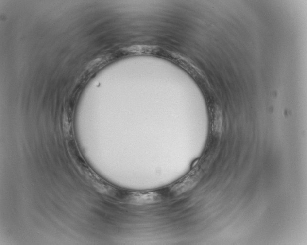 X0000070380569200606301924