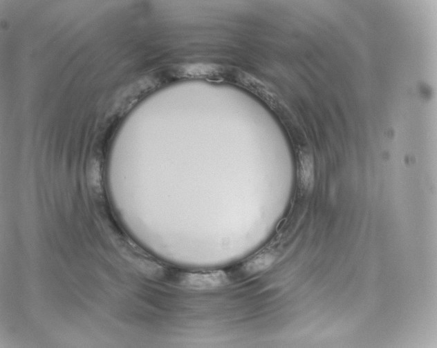 X0000070380571200606301924