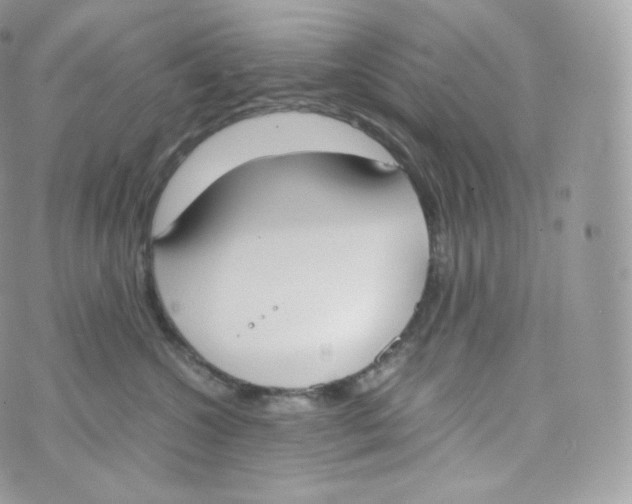 X0000070380572200606301924