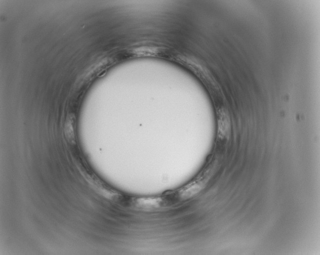 X0000070380573200606301924