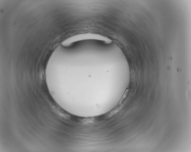 X0000070380574200606301924