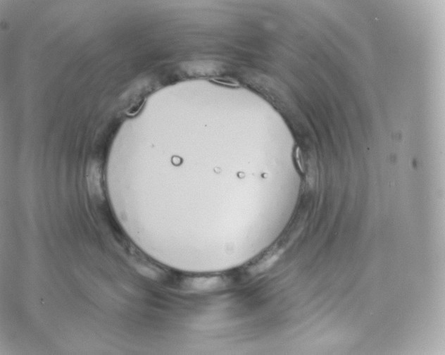 X0000070380575200606301924