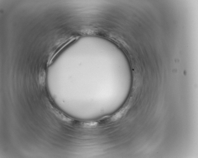 X0000070380576200606301924